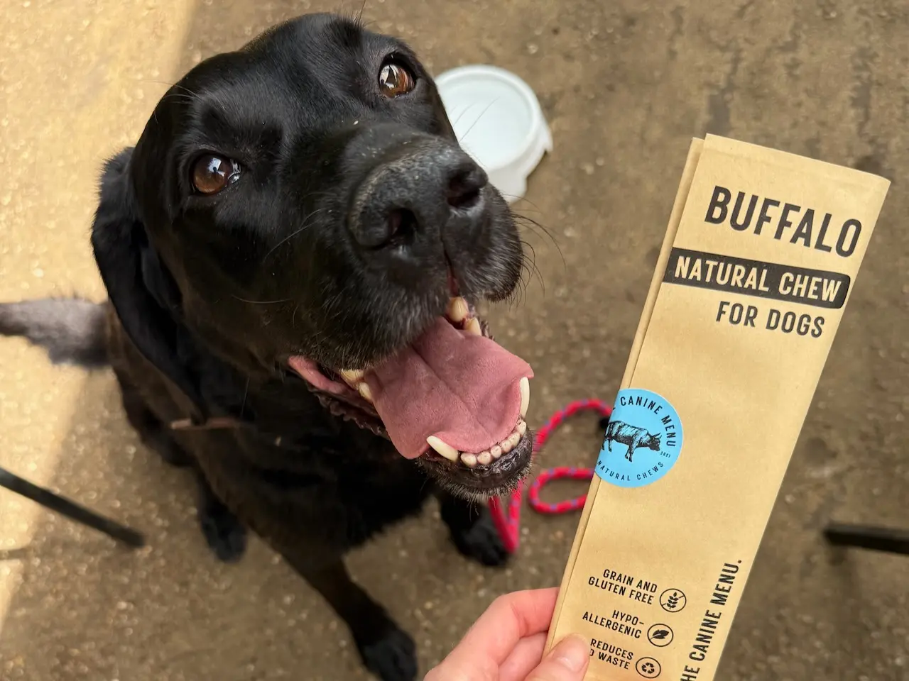 Dog-friendly cafés and pubs in Essex