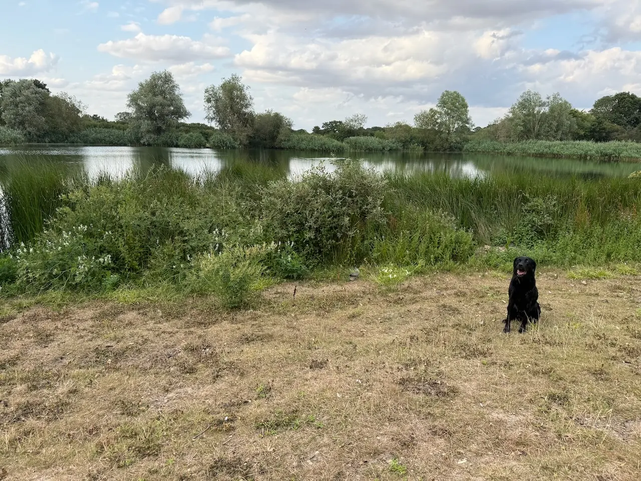 A quiet spot to sit by one of the fishing lakes