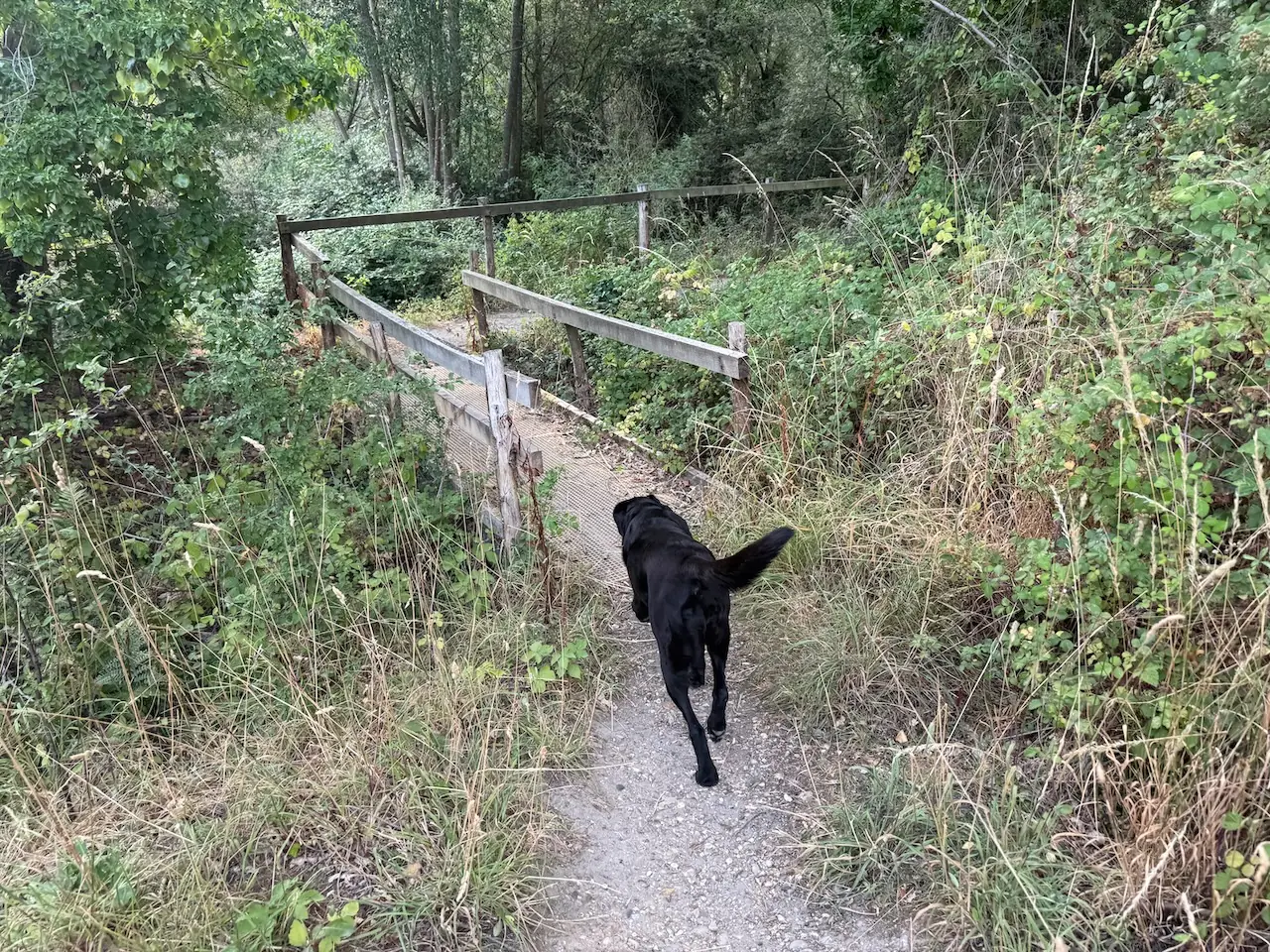 A footbridge over the dyke between the lakes