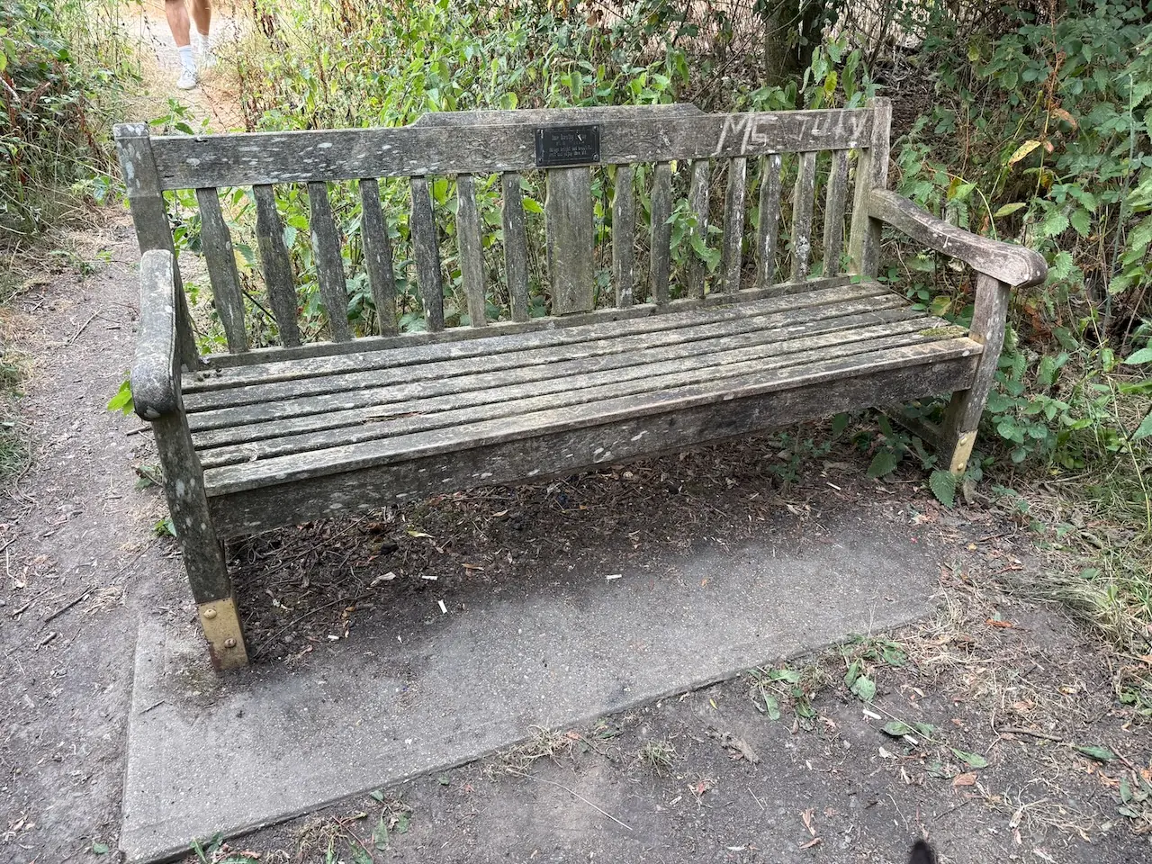 One of the benches dotted along the trail for a rest