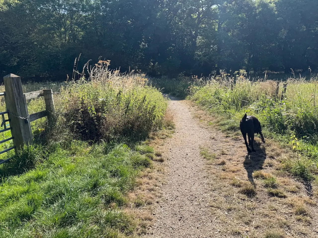 The path leading in from the entrance.