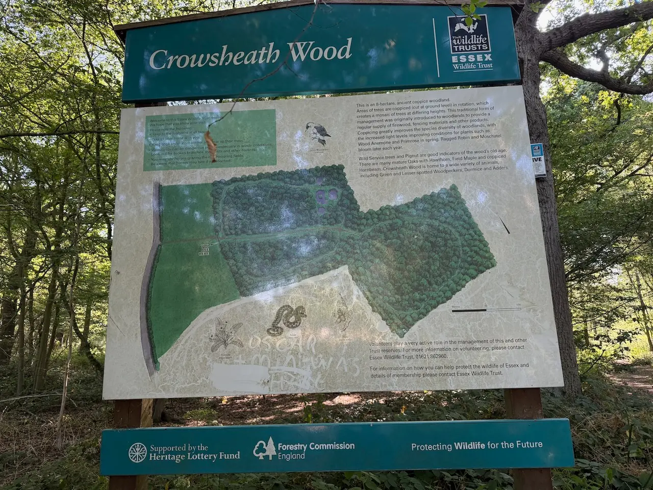 The Essex Wildlife Trust information board at the entrance.