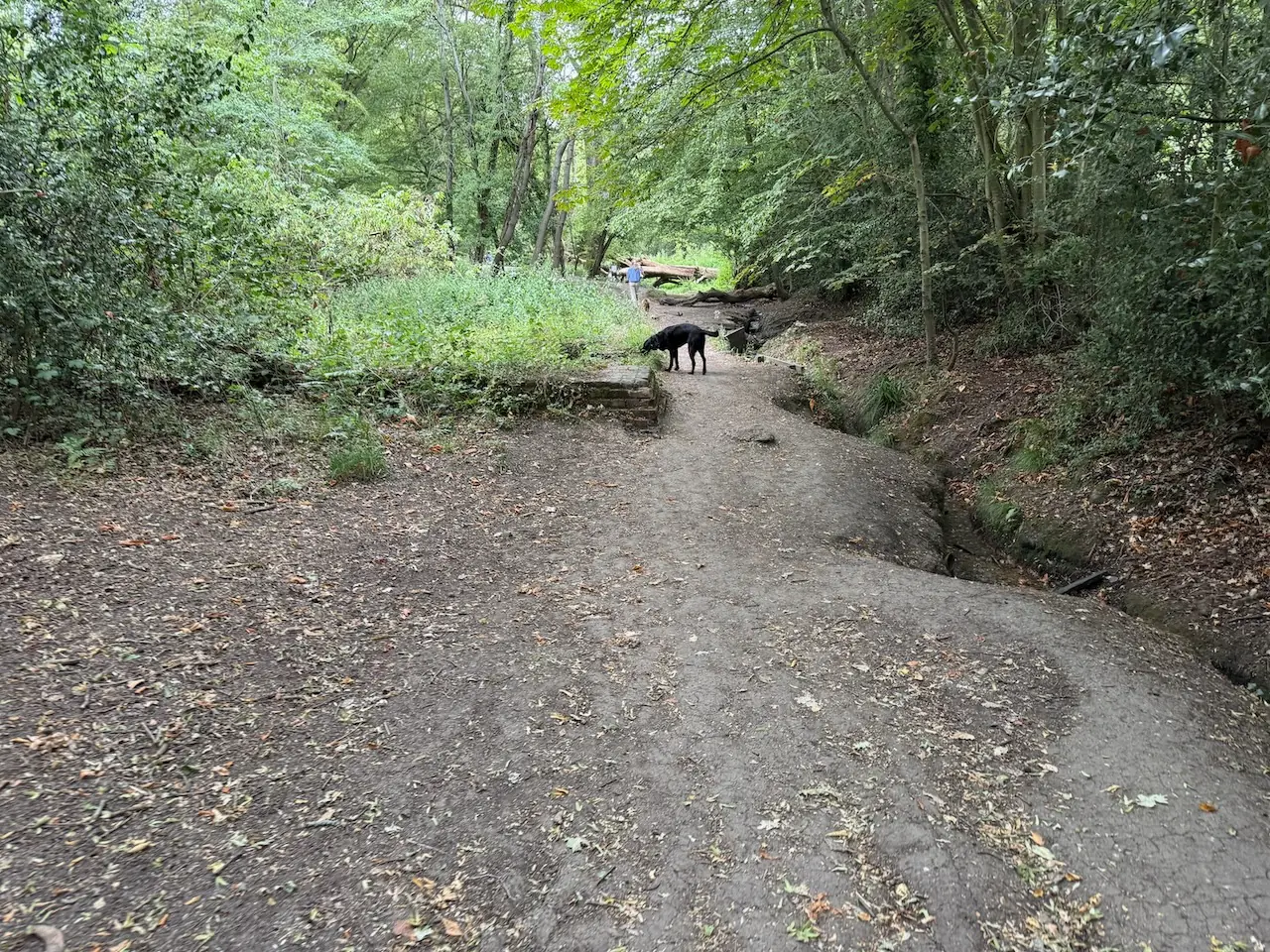 Down to the little stream crossing