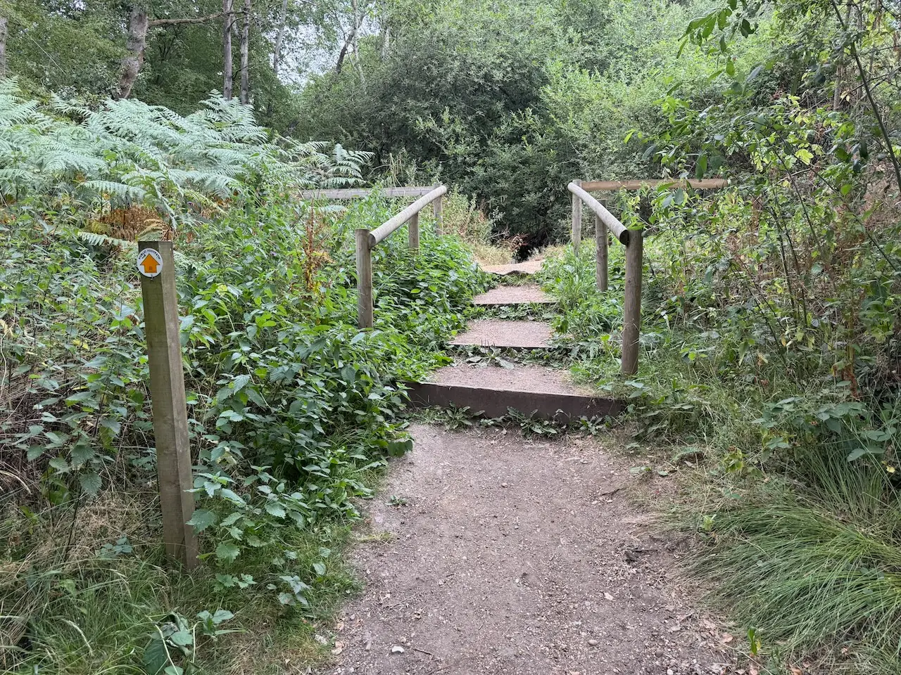 Up the steps by the waymarker