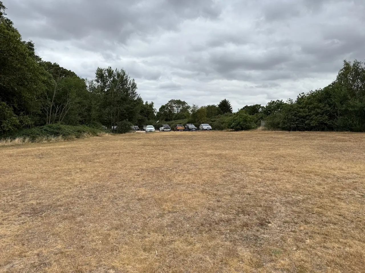 Parking at the common