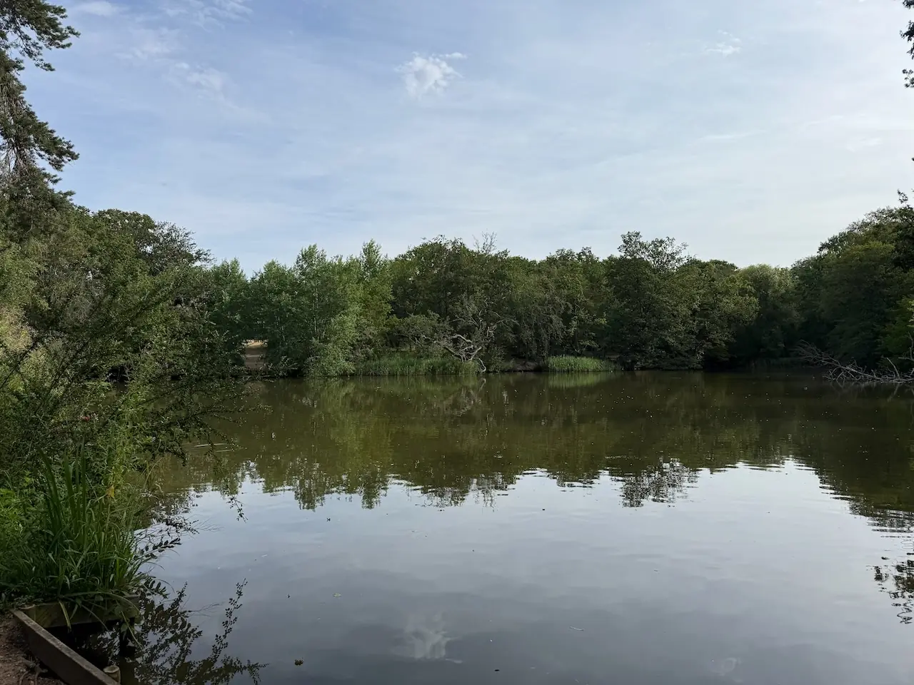 Middle Lake, ringed by trees.