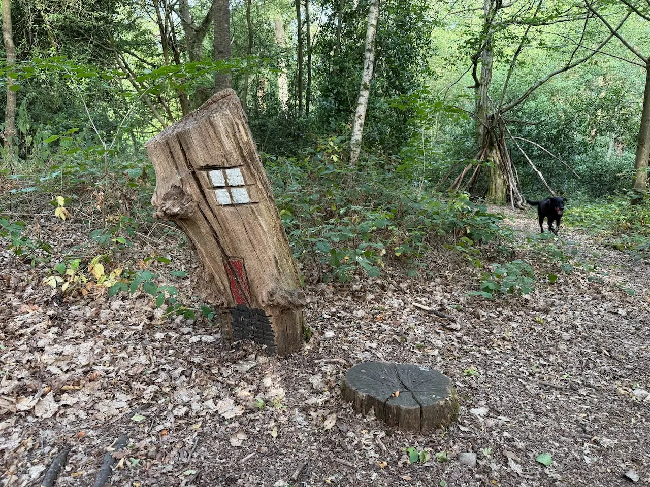 A fairy house carved into a tree stump.