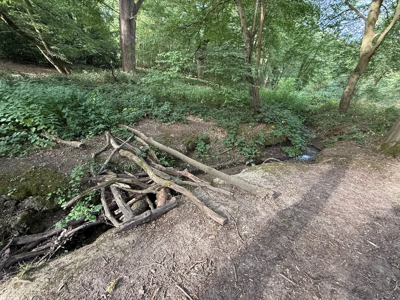 The stream, almost dry in high summer.