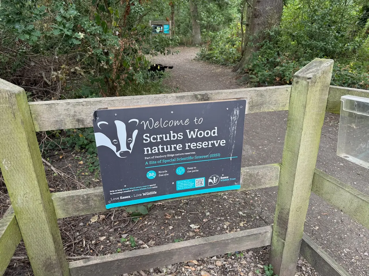 Into Scrubs Wood