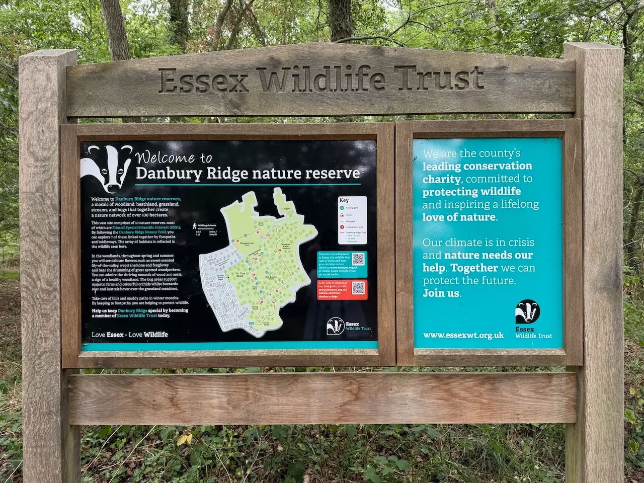 Cared for by Essex Wildlife Trust