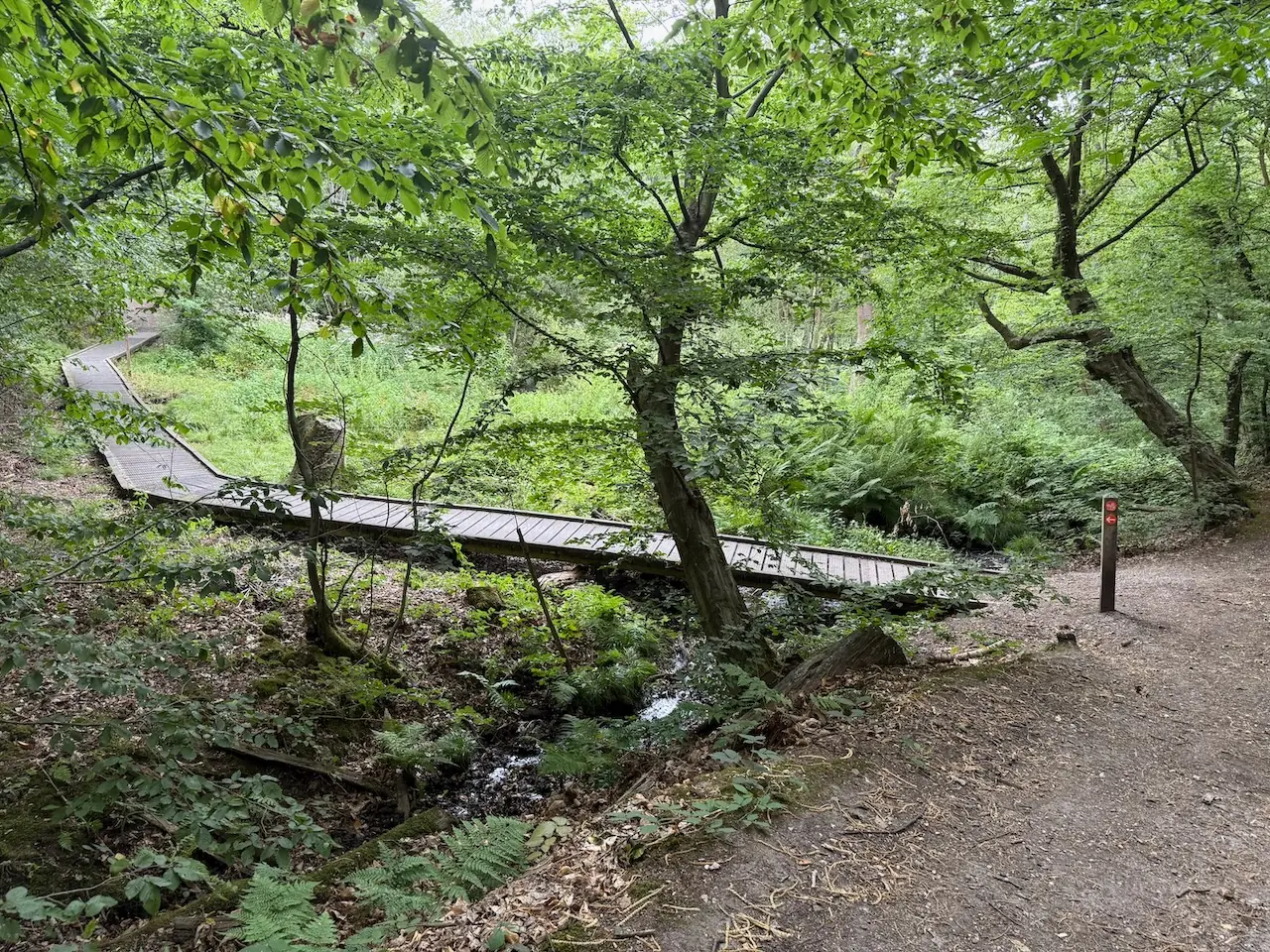 The boardwalk across the boggy valley