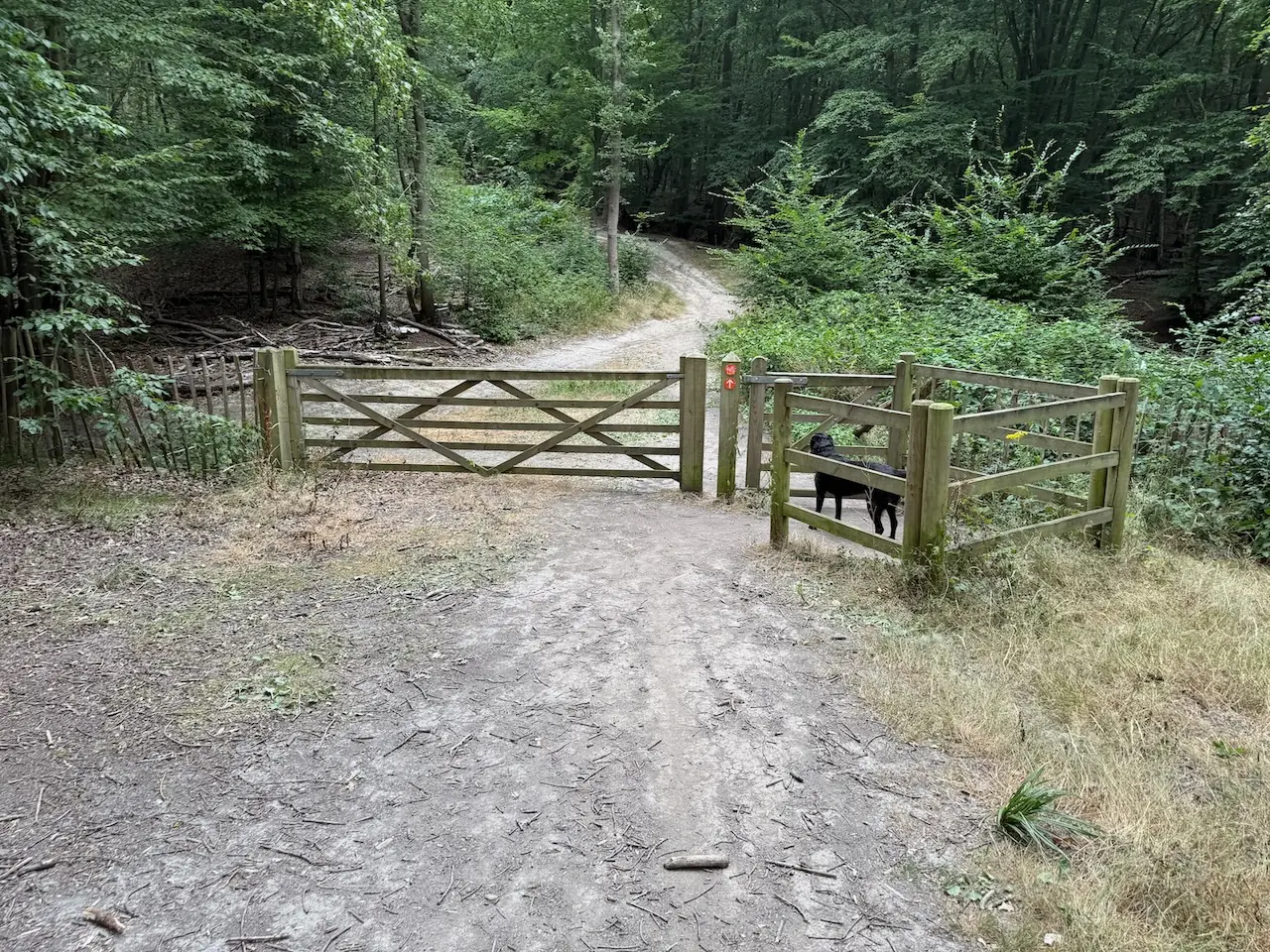 Through one of the kissing gates