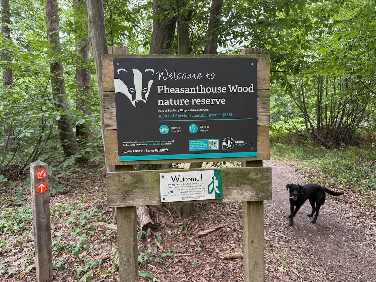 Pleasanthouse Wood