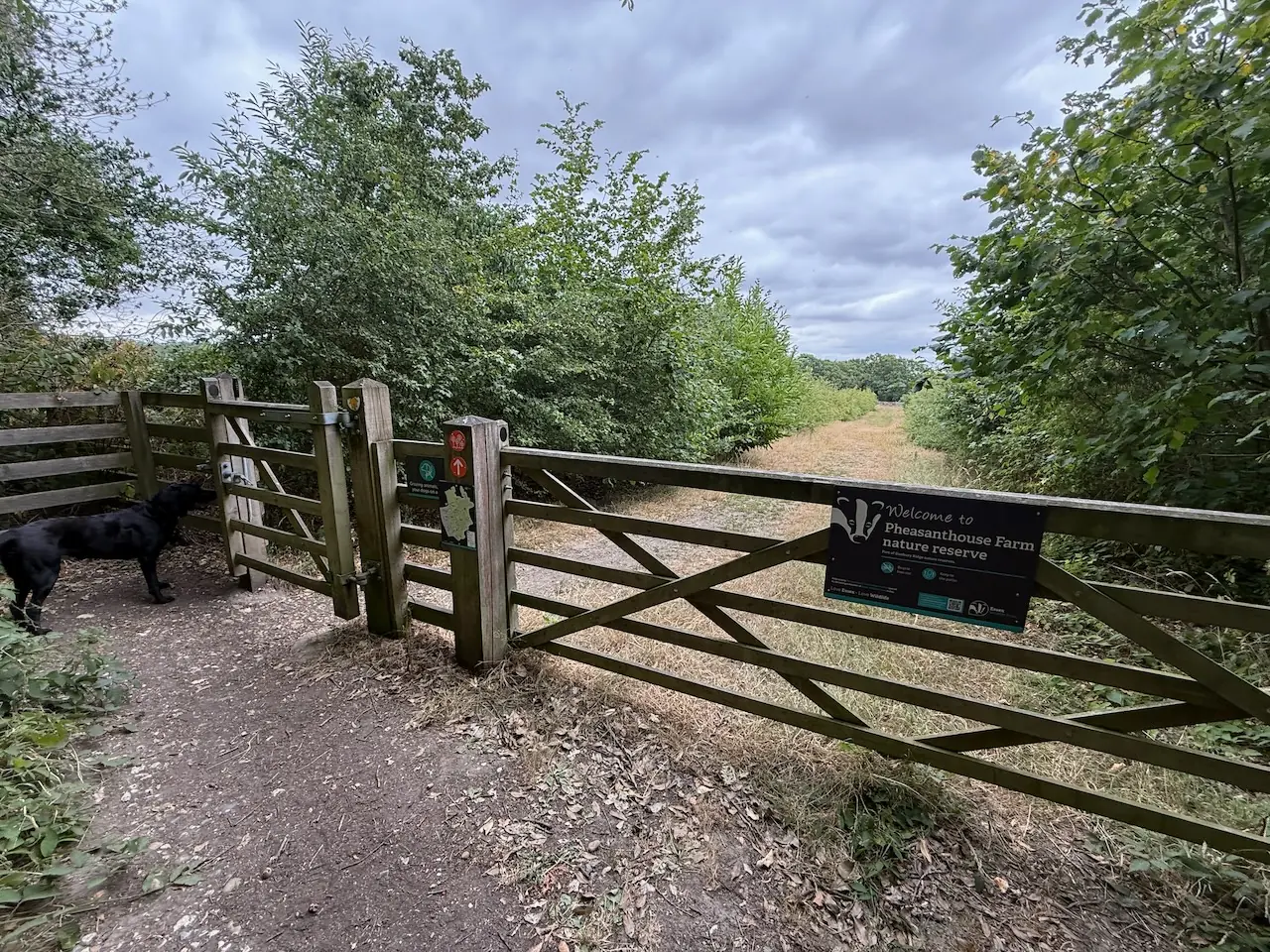 Kissing gate into Pleasanthouse Farm