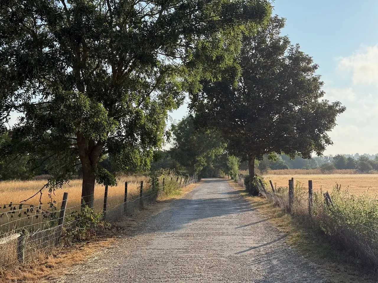 One of the entrances to the meadow paths