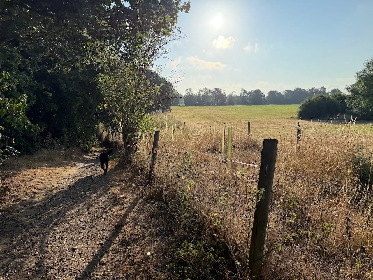 A stony path running alongside open fields