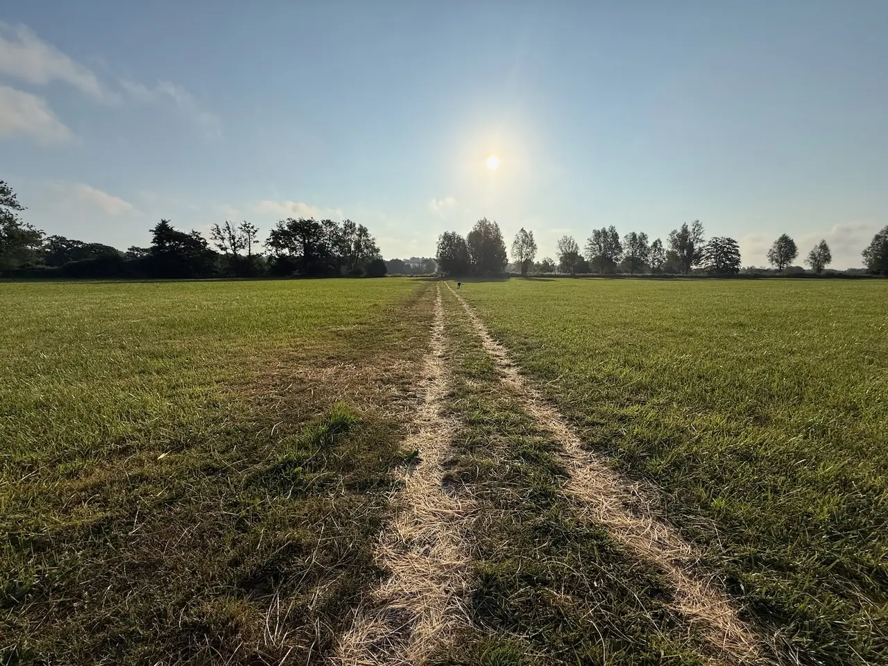 Wide, open grass meadows