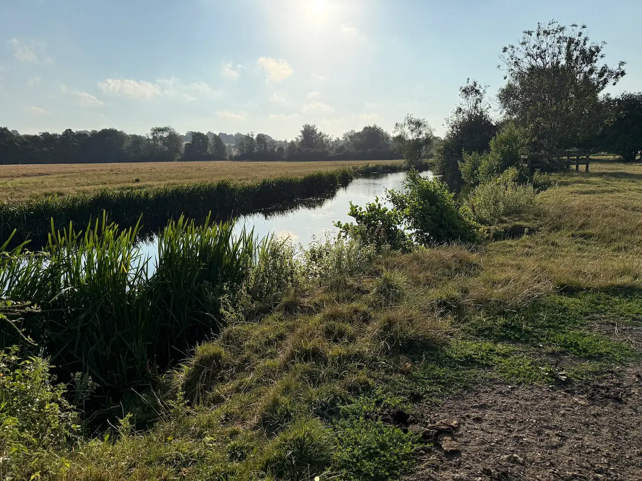 Meadow paths beside the River Stour