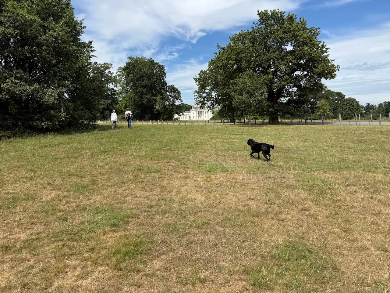 Visitors walking towards Hylands House