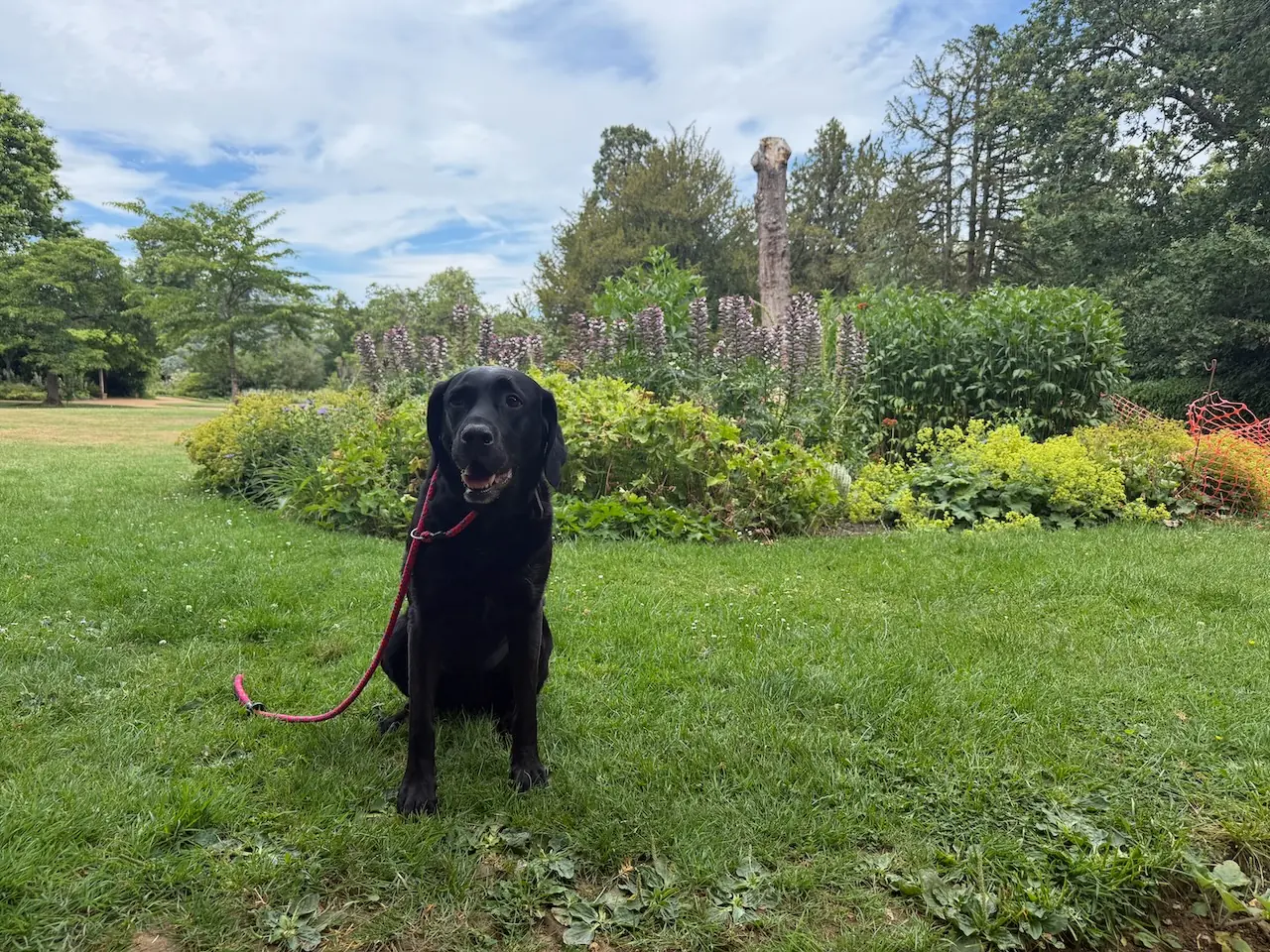 Poppy posing in the Pleasure Gardens