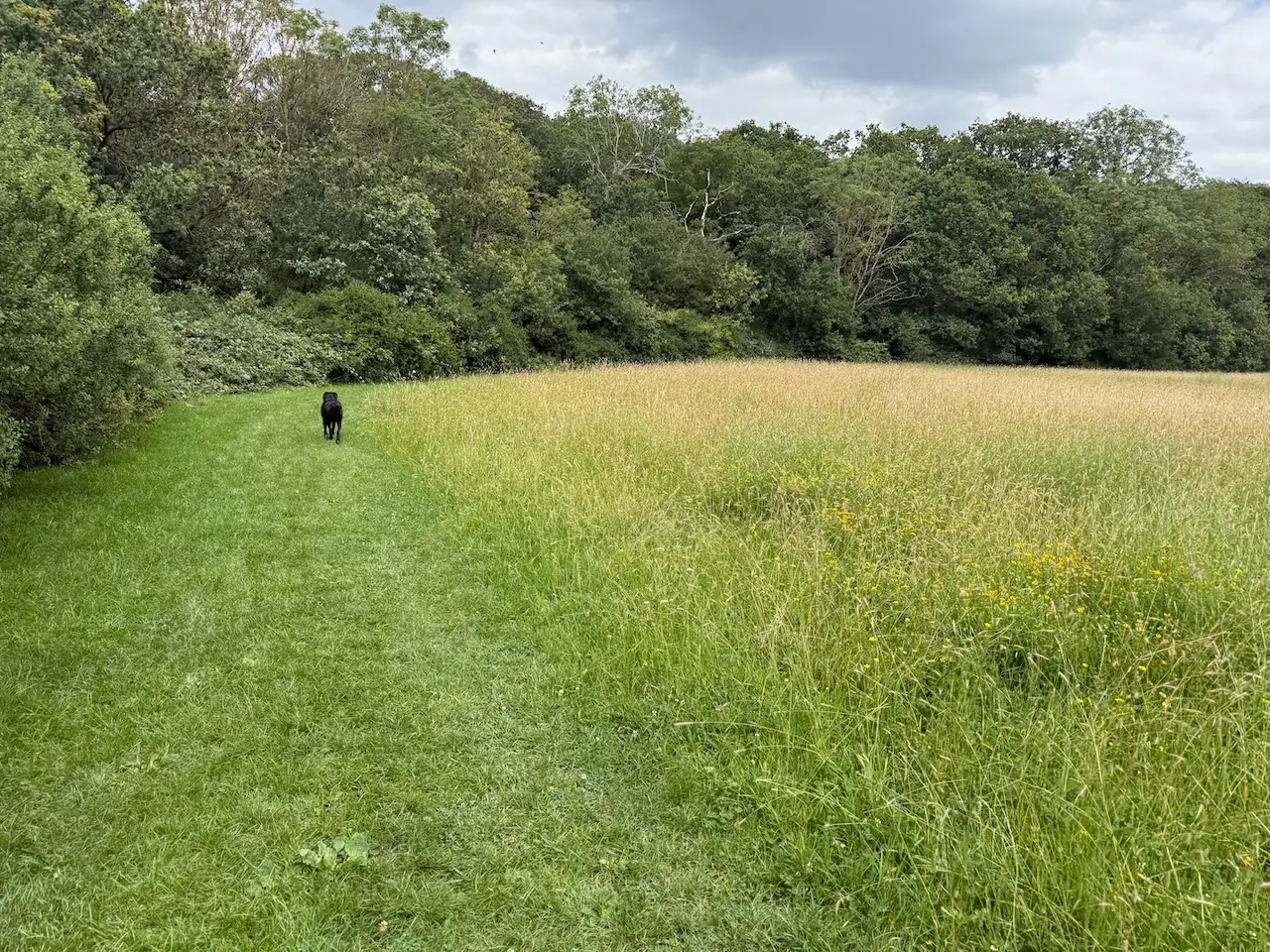 Langdon Hills Country Park - One Tree Hill