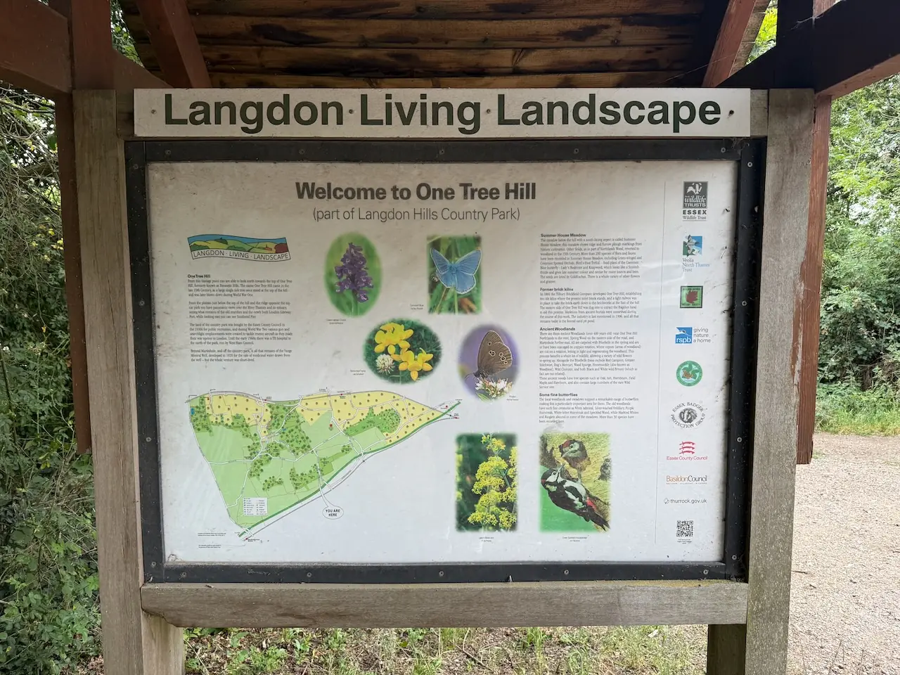 Langdon Hills - One Tree Hill sign