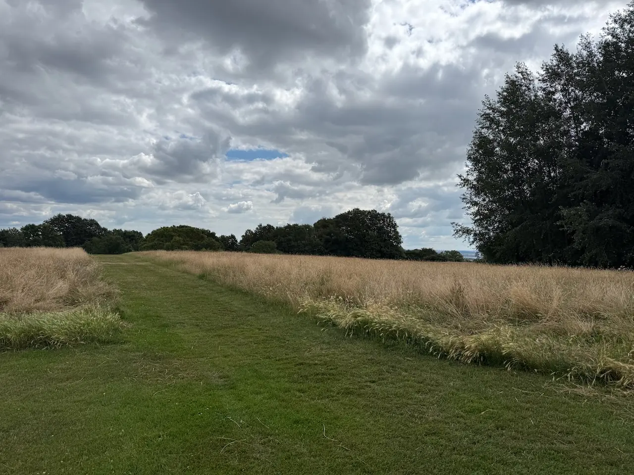 Langdon Hills Country Park - Westley Heights