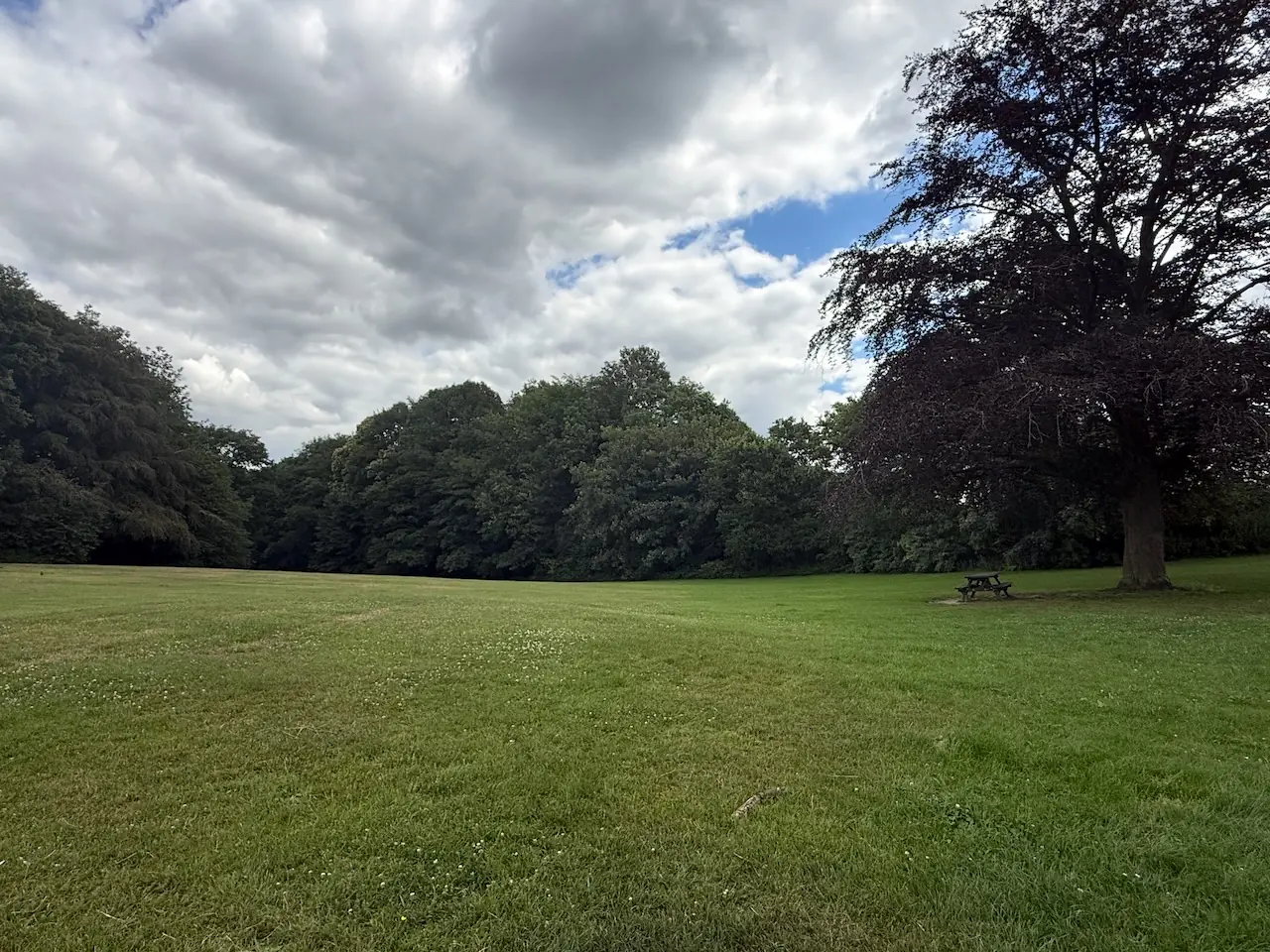 Open green by the car park