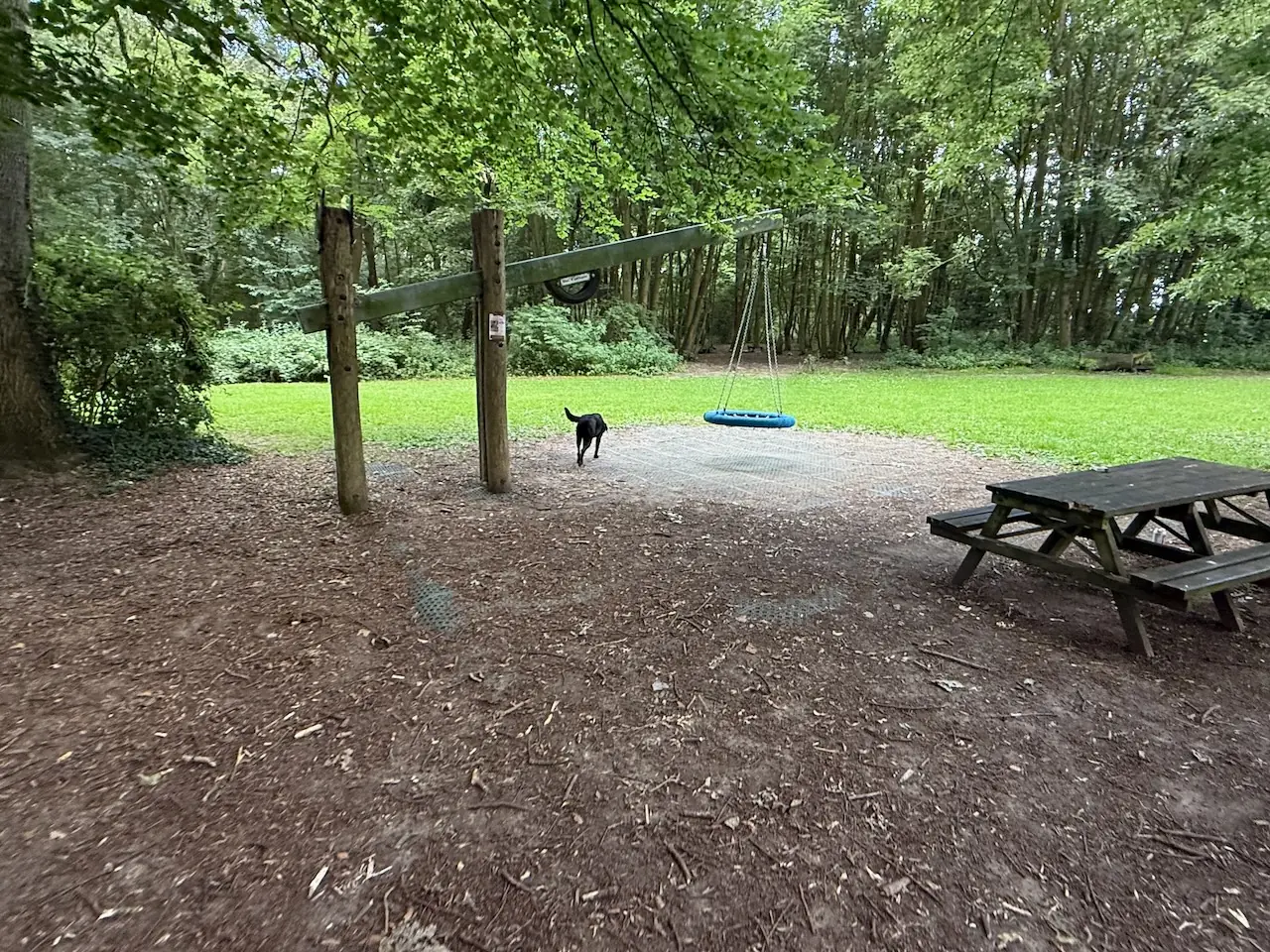 Bench beside the playground