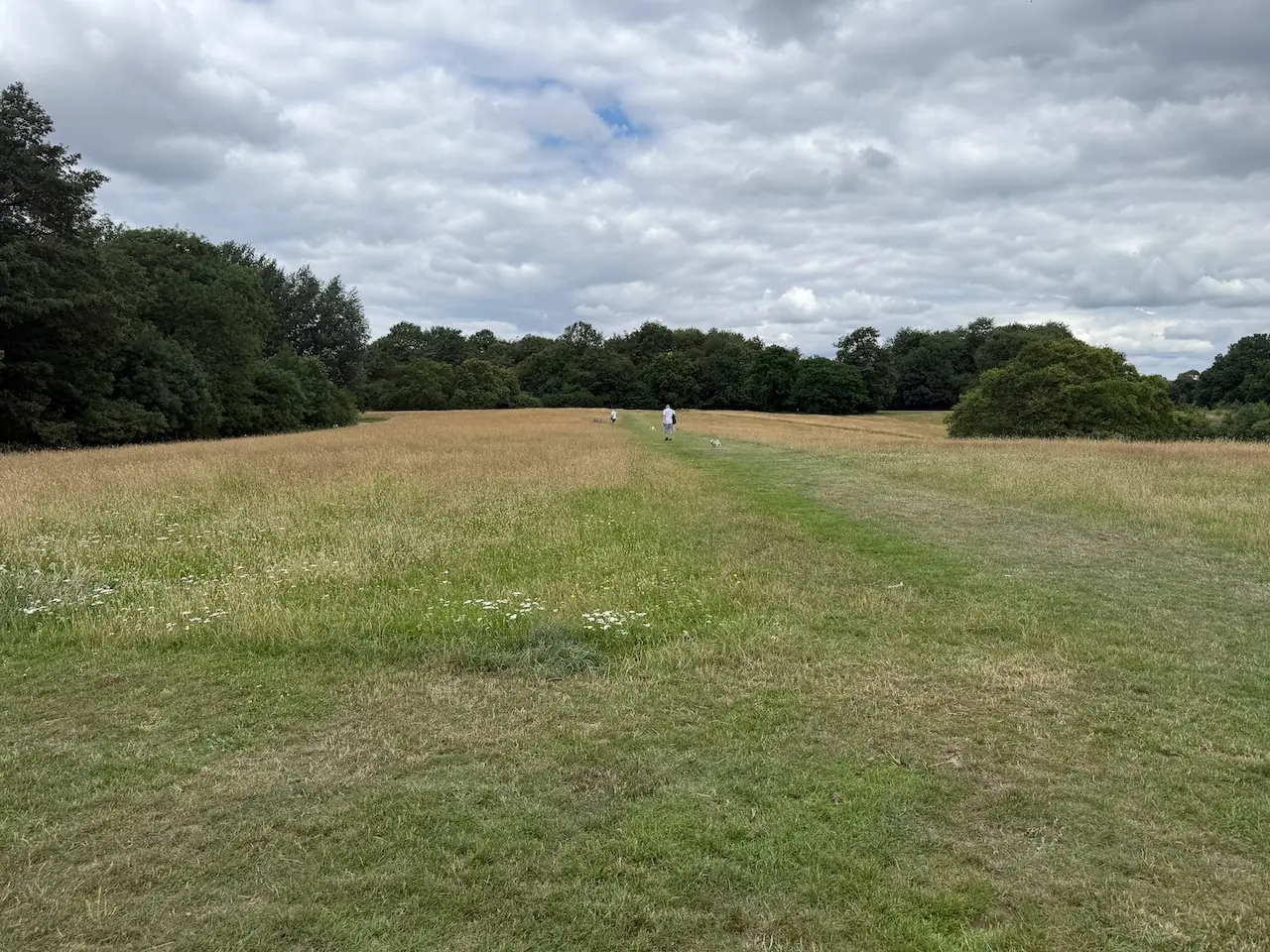 Mown grassland paths