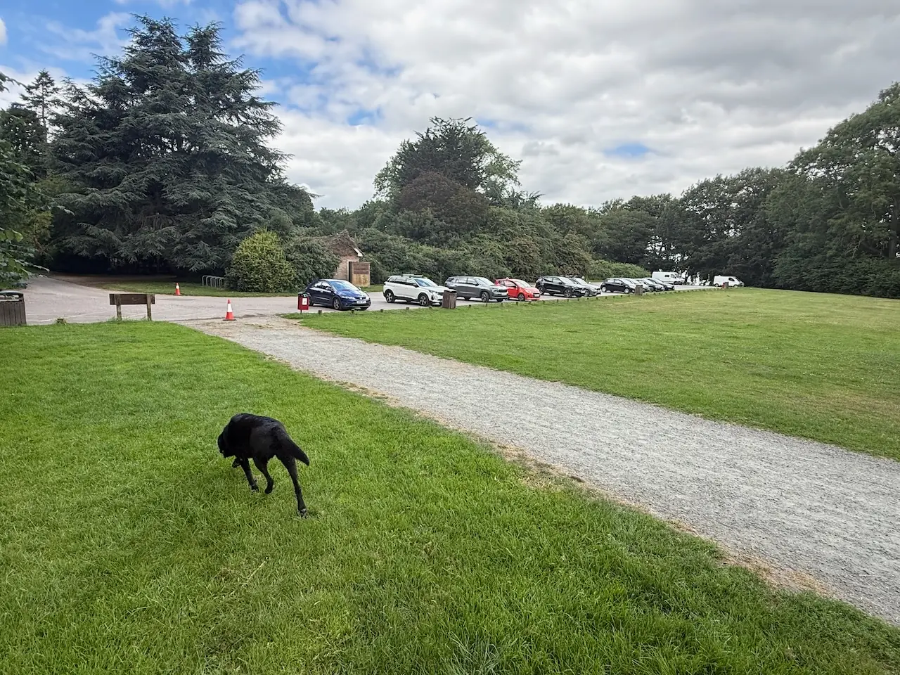 Free car park