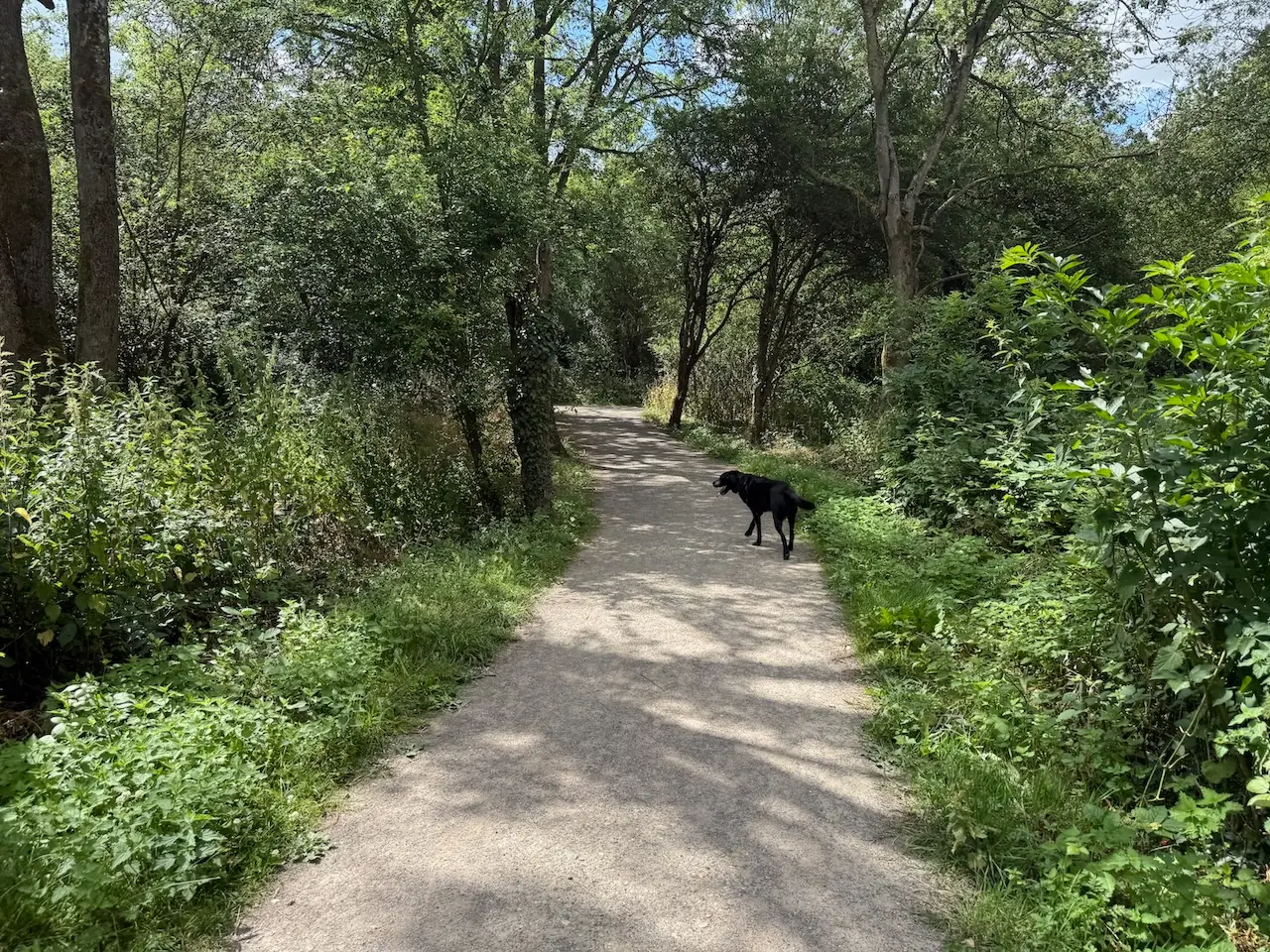 Langdon Nature Discovery Park