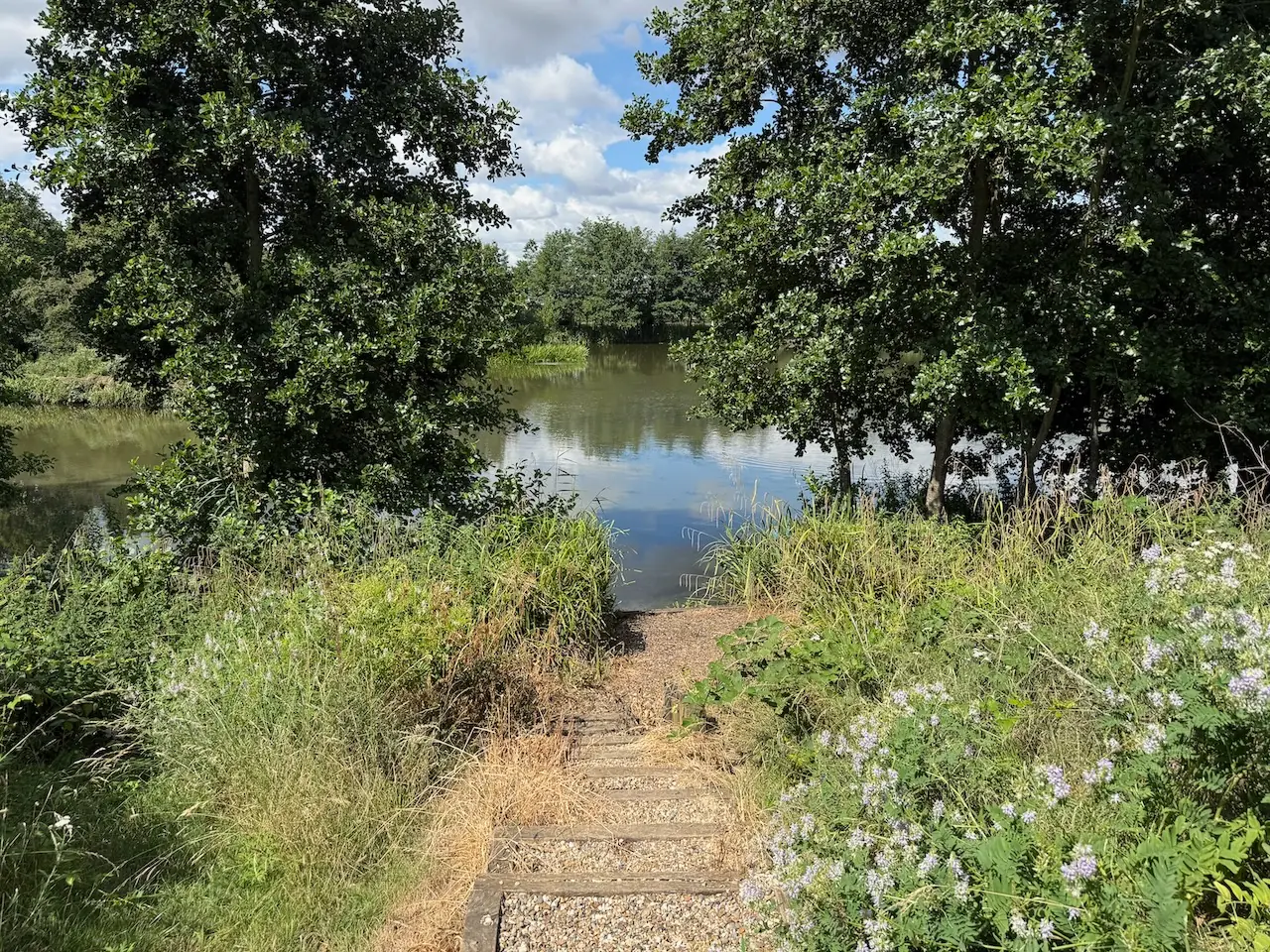 Lakeside fishing spot