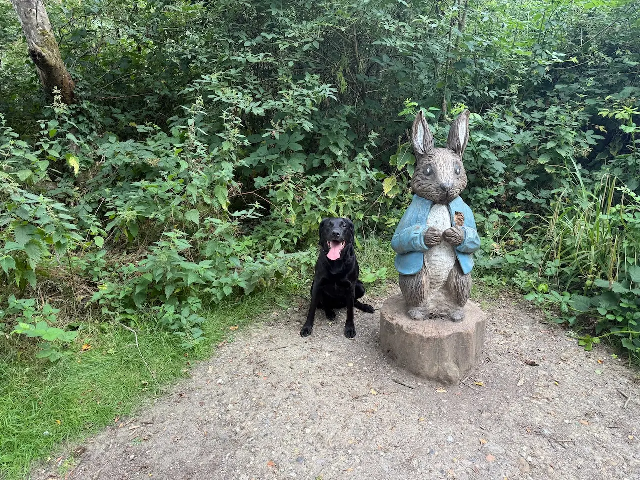 Peter Rabbit sculpture