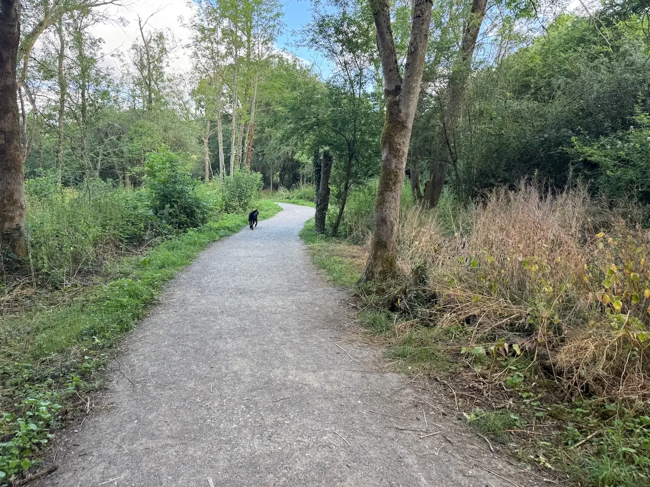 Path through the nature reserve