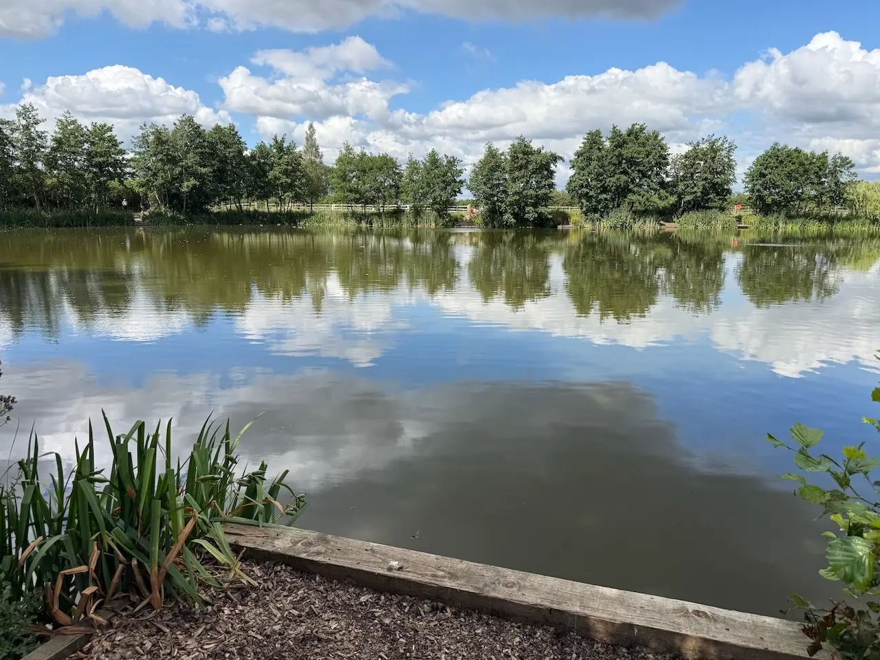 Open views across the lake