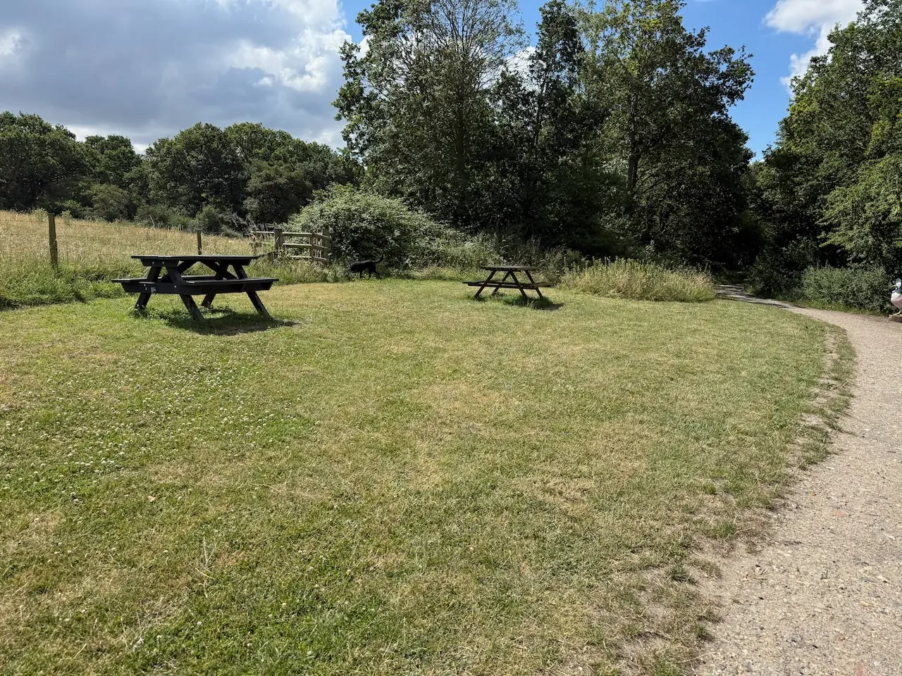Picnic benches by the lake