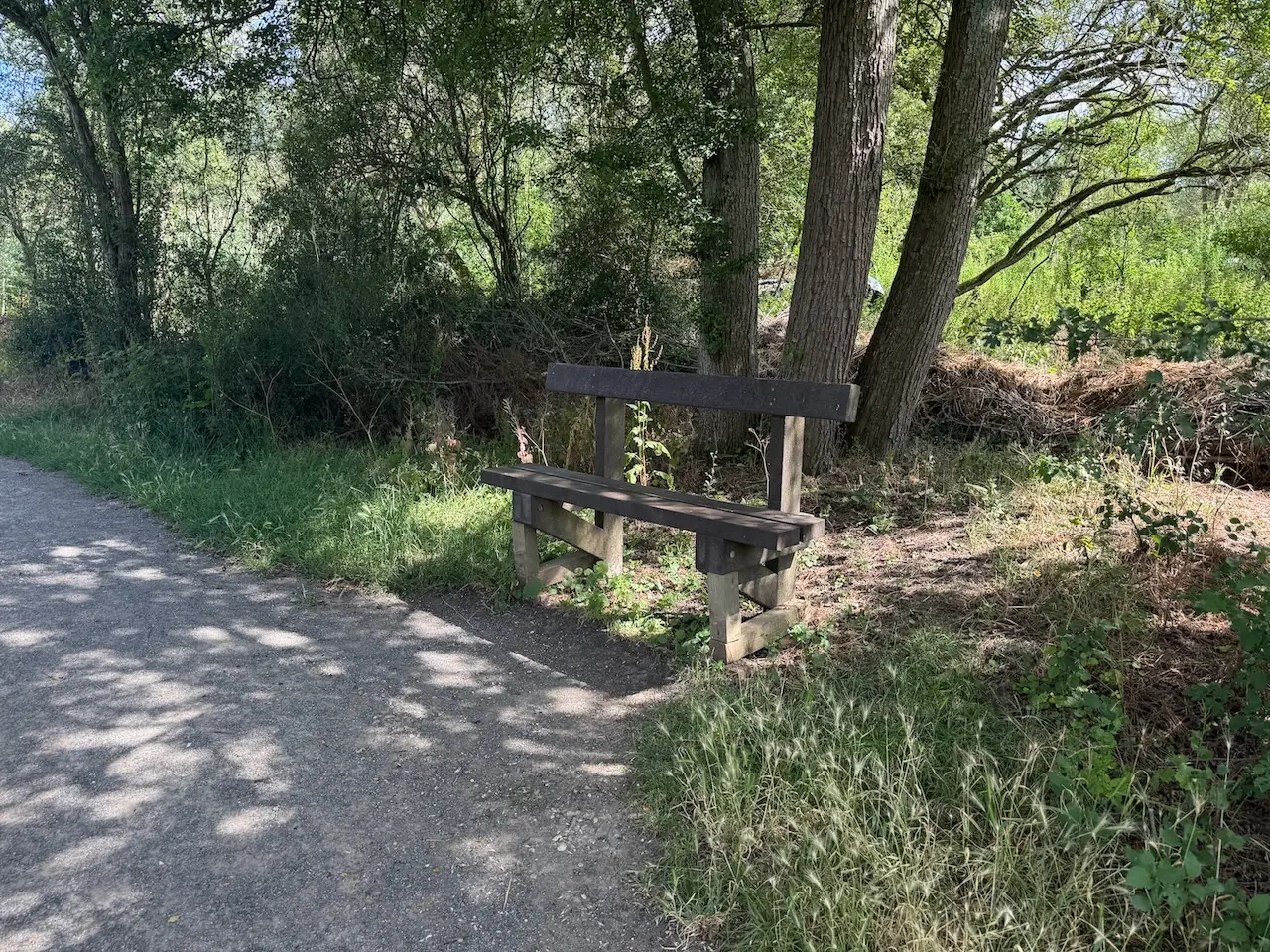 Benches to stop and rest