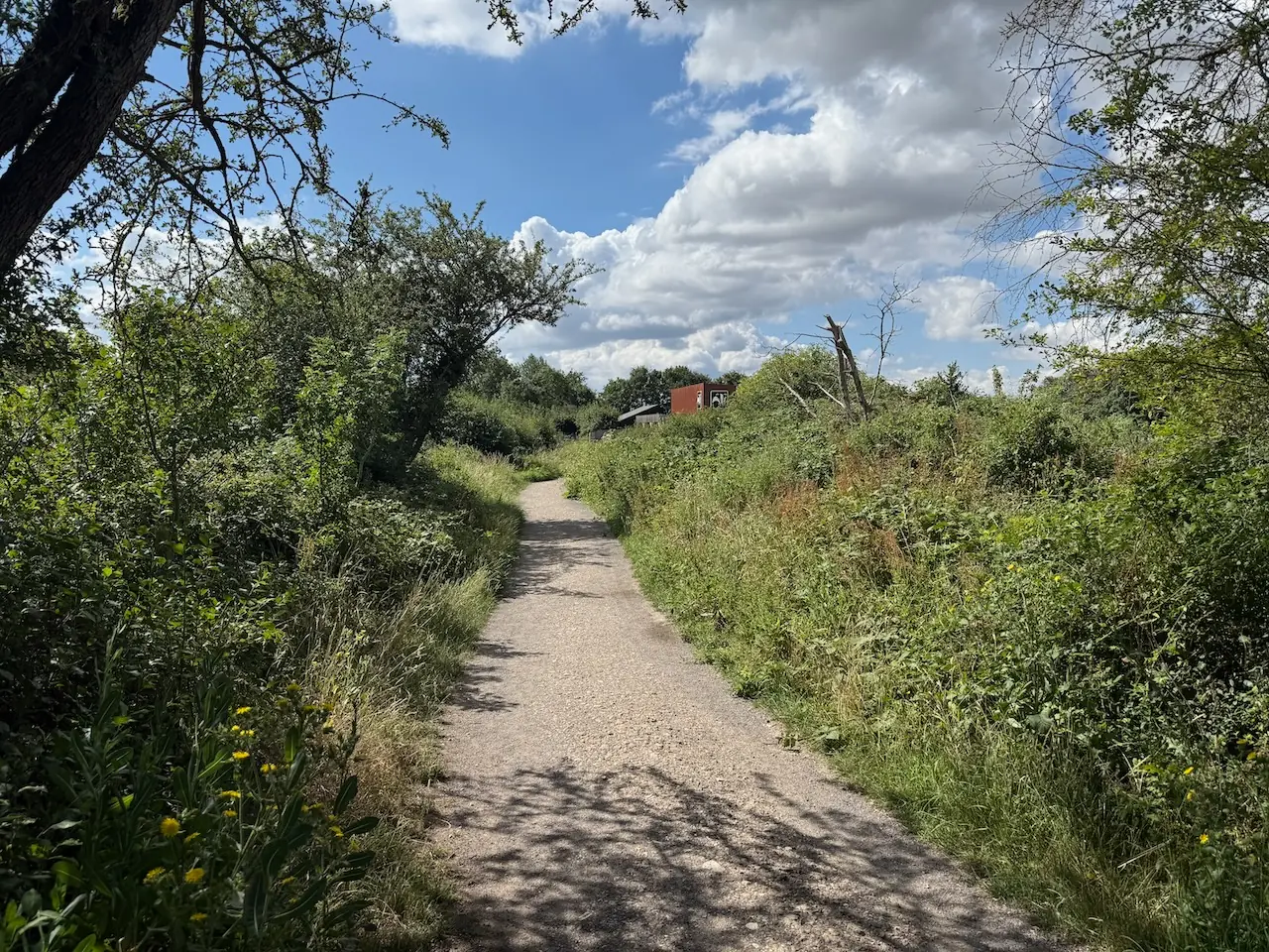 Path back to the visitor centre