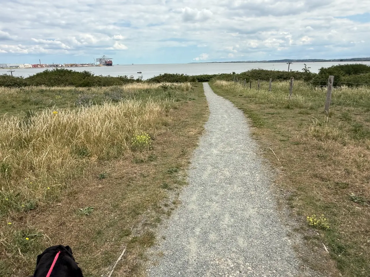 Coastal path overlooking the Thames