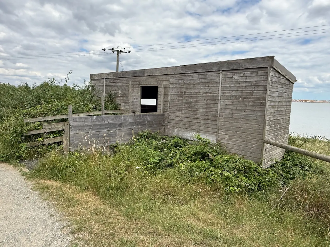 Wildlife viewing station