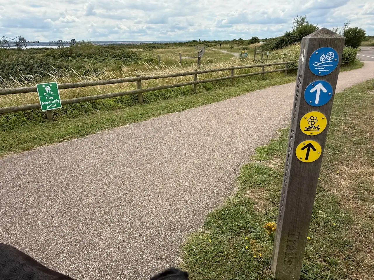 Waymarked walking routes