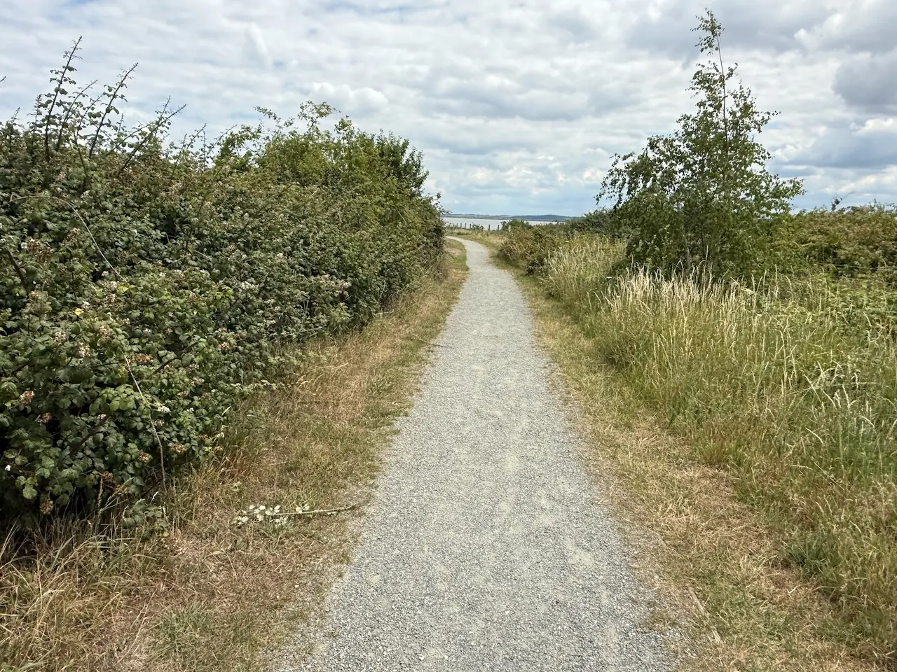 Path through the nature reserve