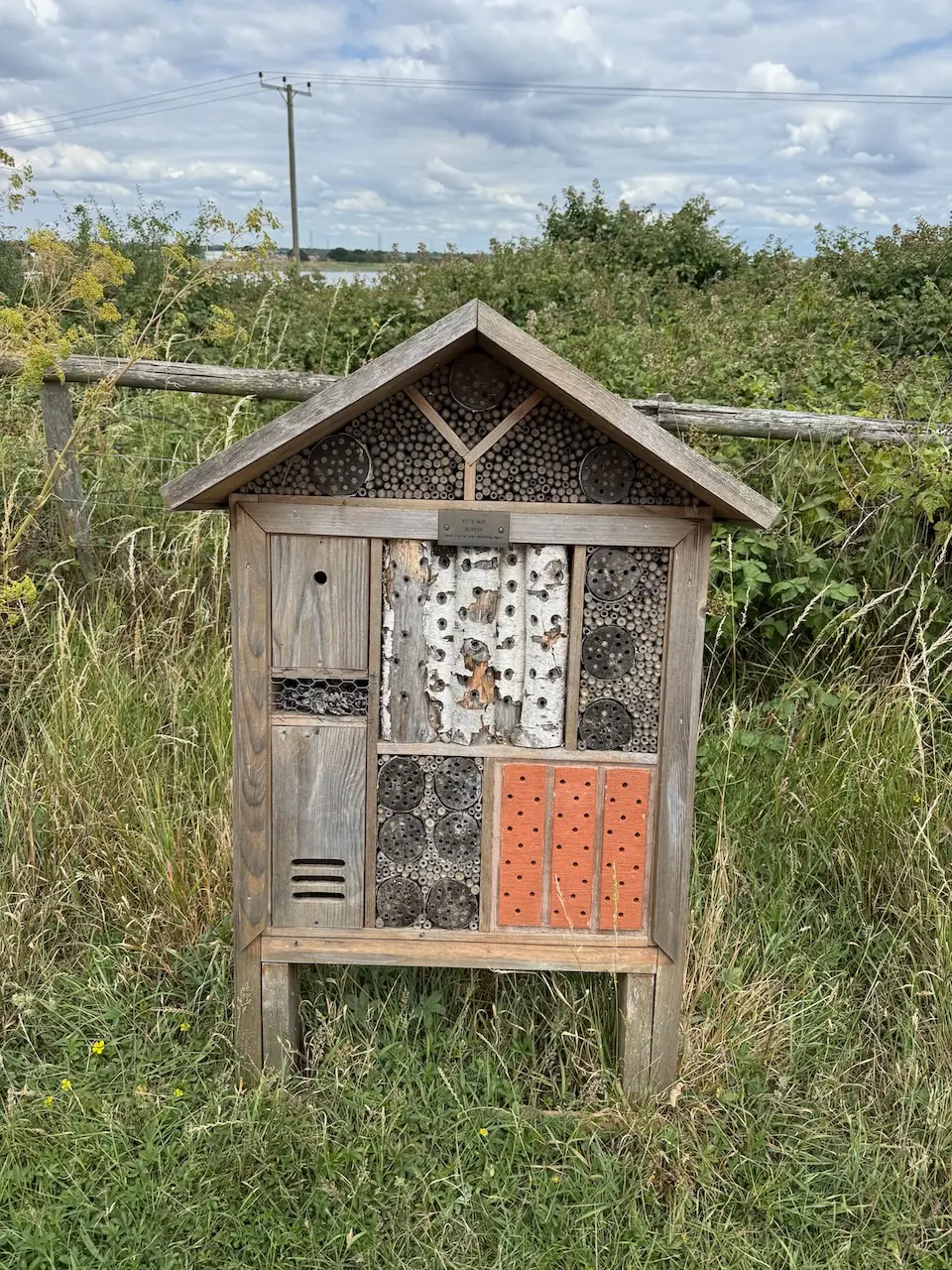 Bug hotel