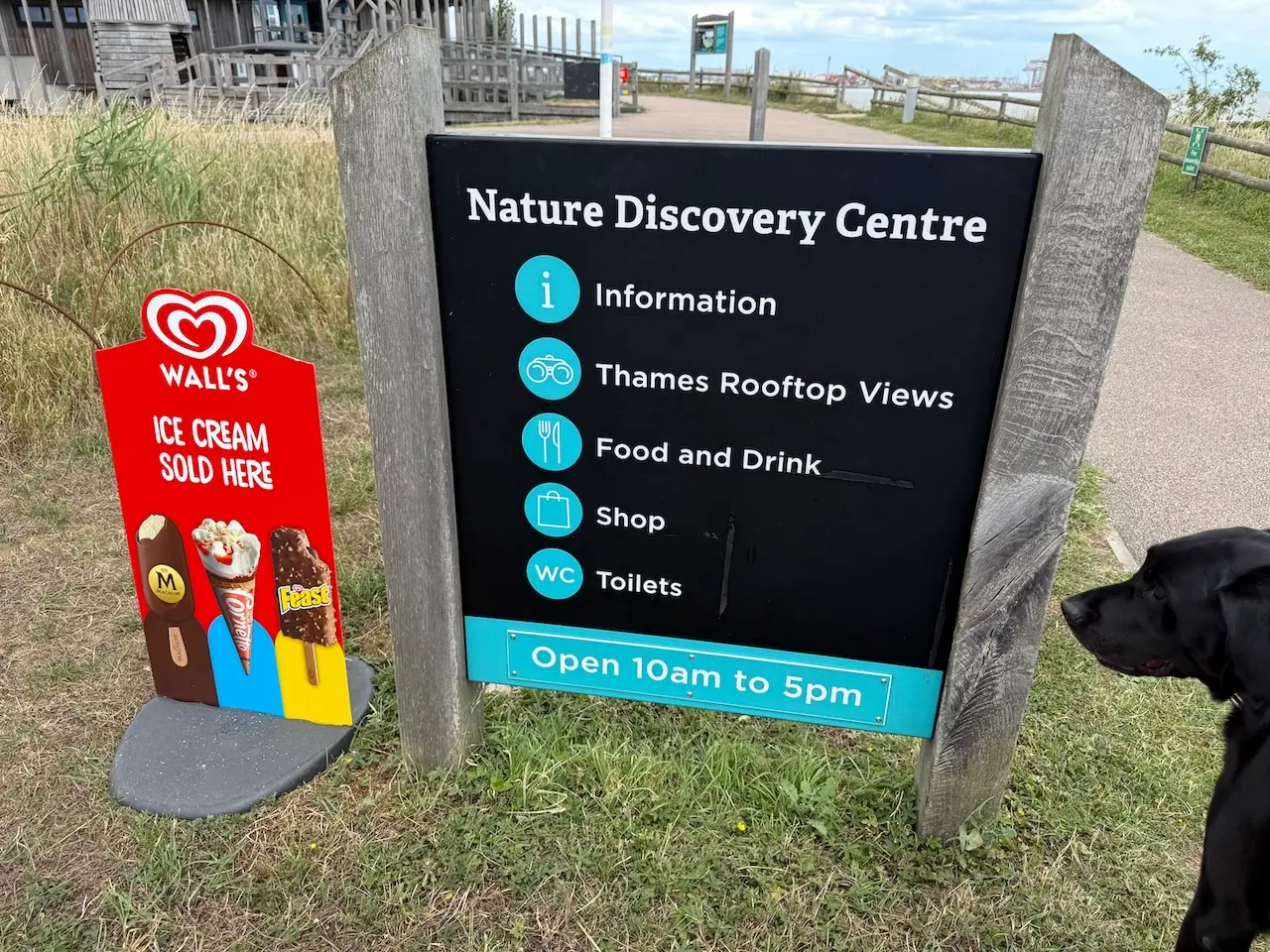 Park and ice cream signs