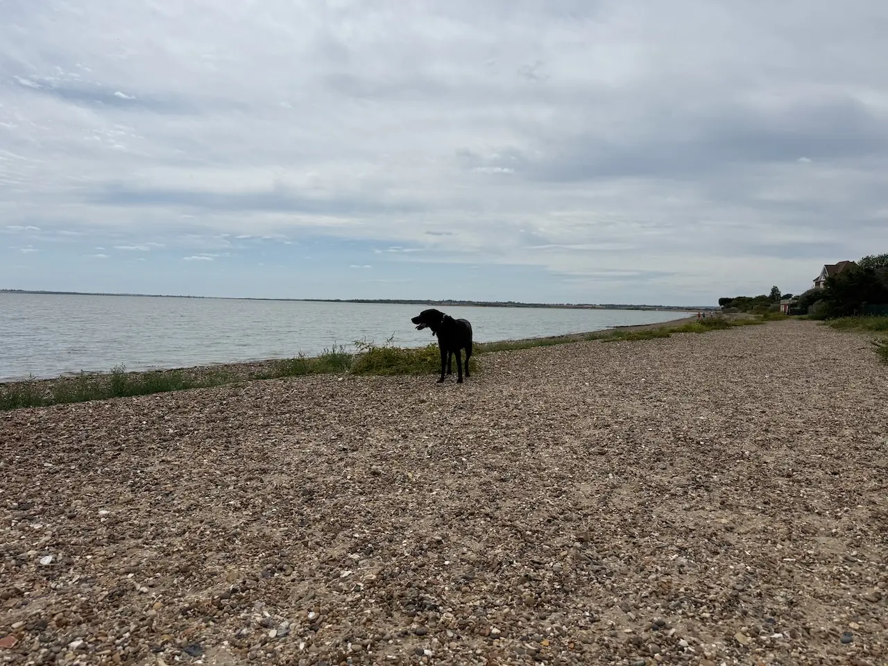Stony, grassy and sandy shoreline
