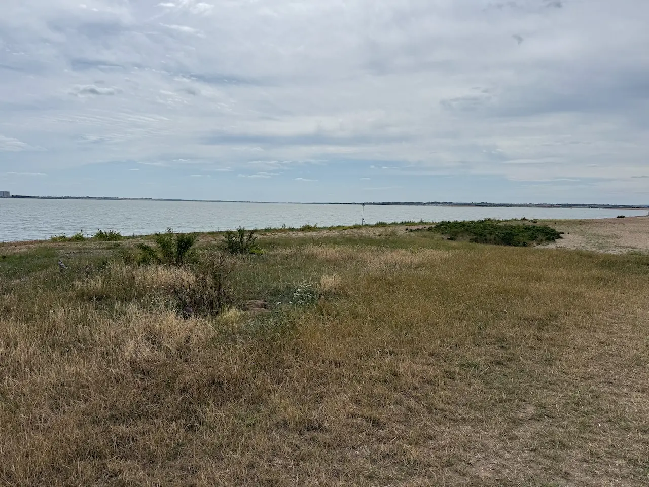 Grassy shoreline overlooking the sea