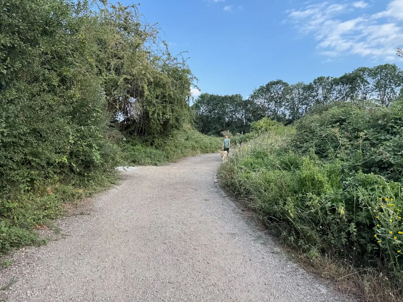 A wide, easy-going path with gentle gradients