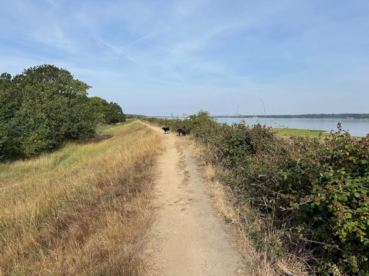 The trail hugs the estuary edge, water alongside