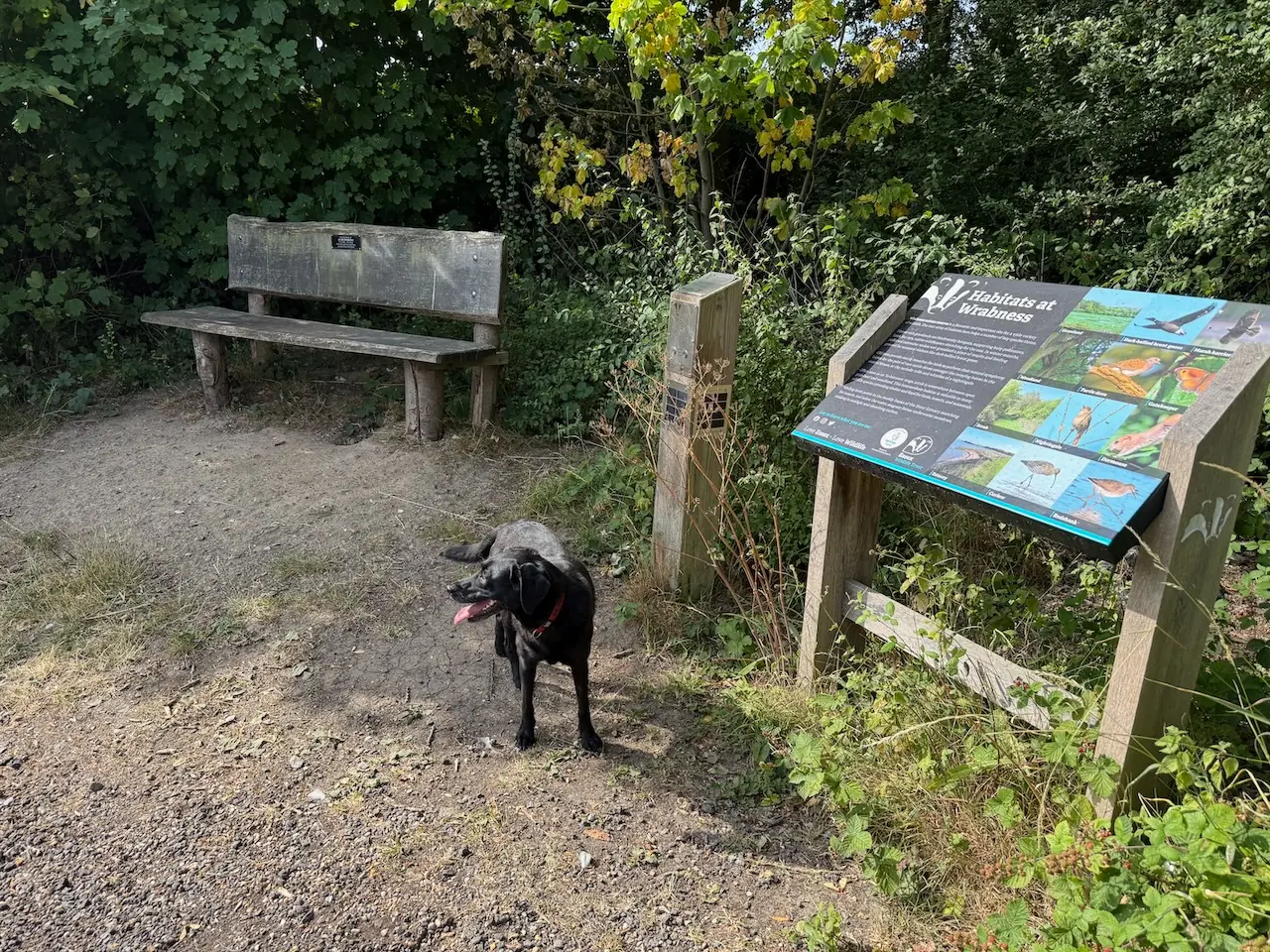 A bench and habitat board make a good resting spot